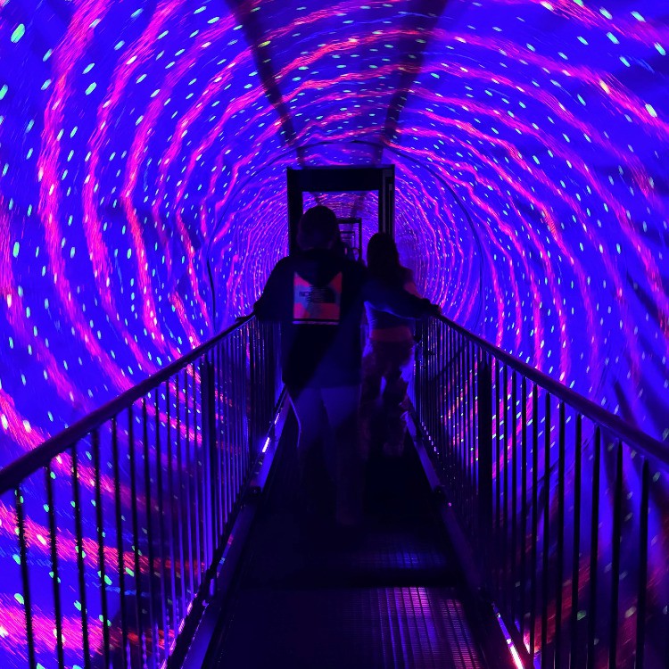 Illusions Museum Field Trip